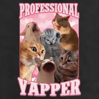 Funny Cat Meme Professional Yapper Cat Oddly Specific Dank 7 Panel Mesh Trucker Snapback Hat