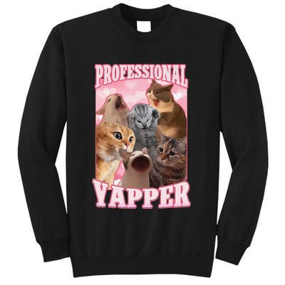 Funny Cat Meme Professional Yapper Cat Oddly Specific Dank Sweatshirt