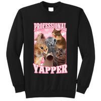 Funny Cat Meme Professional Yapper Cat Oddly Specific Dank Sweatshirt