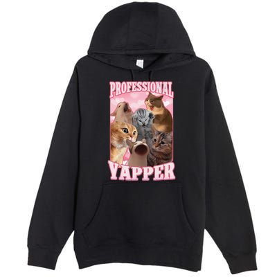 Funny Cat Meme Professional Yapper Cat Oddly Specific Dank Premium Pullover Hoodie