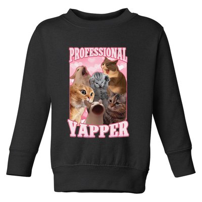 Funny Cat Meme Professional Yapper Cat Oddly Specific Dank Toddler Sweatshirt