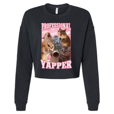 Funny Cat Meme Professional Yapper Cat Oddly Specific Dank Cropped Pullover Crew