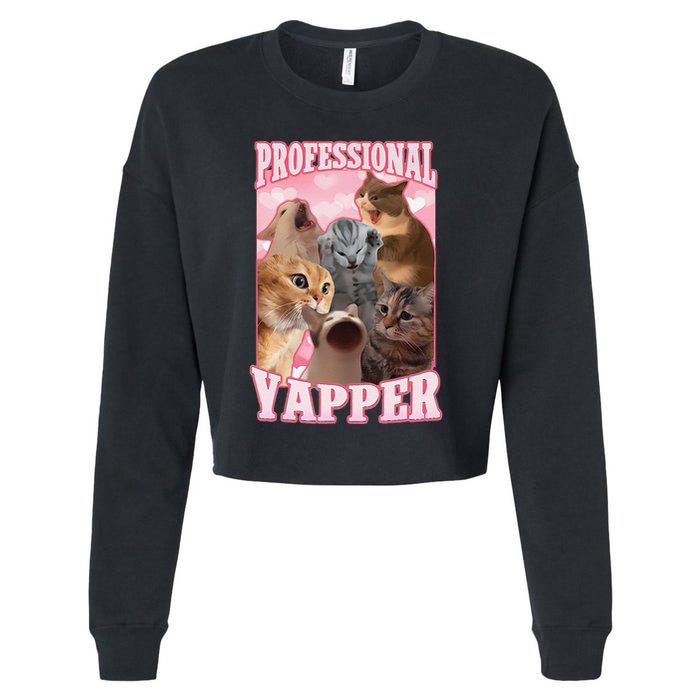 Funny Cat Meme Professional Yapper Cat Oddly Specific Dank Cropped Pullover Crew