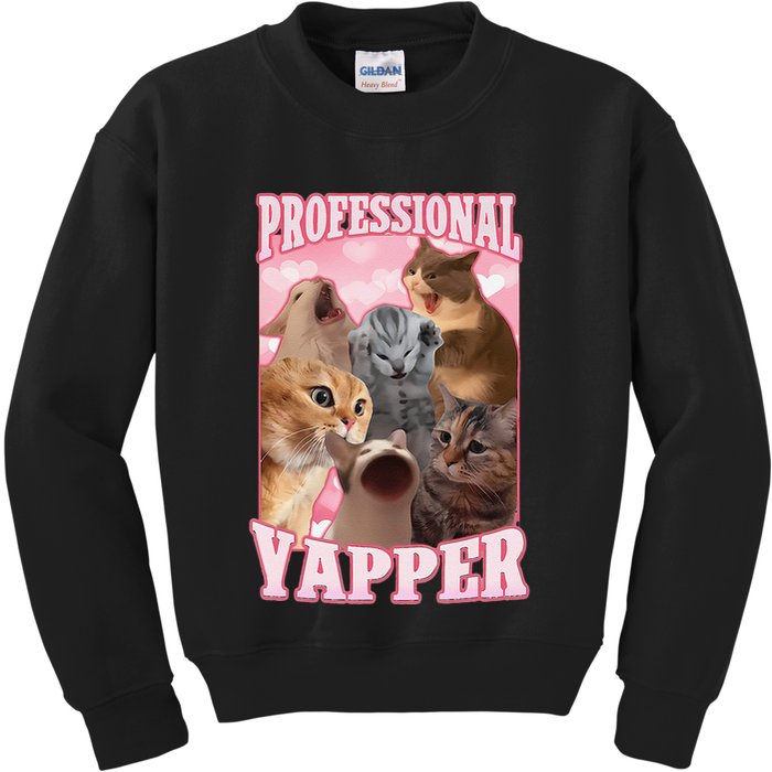 Funny Cat Meme Professional Yapper Cat Oddly Specific Dank Kids Sweatshirt