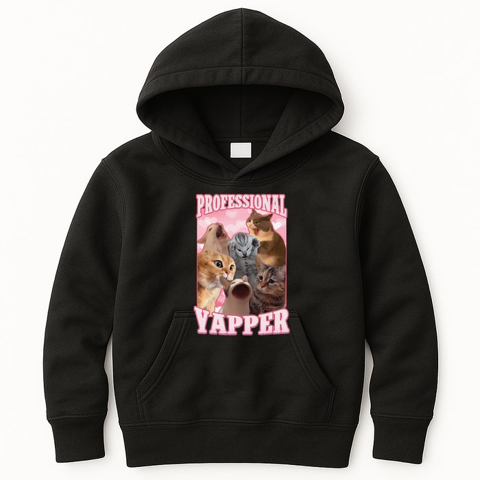 Funny Cat Meme Professional Yapper Cat Oddly Specific Dank Kids Hoodie