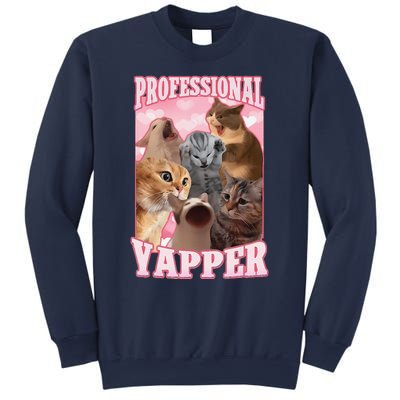 Funny Cat Meme Professional Yapper Cat Oddly Specific Dank Sweatshirt