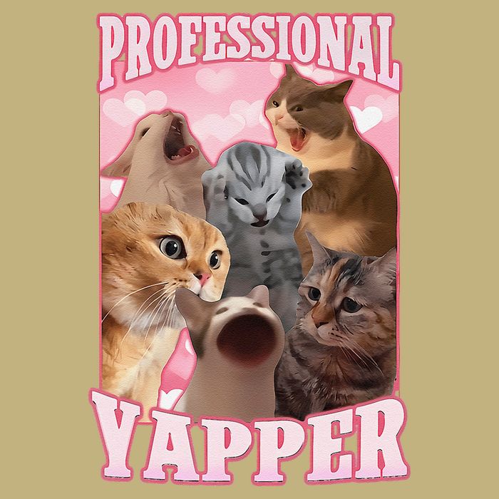 Funny Cat Meme Professional Yapper Cat Oddly Specific Dank Cooling Performance Long Sleeve Crew