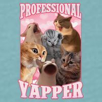 Funny Cat Meme Professional Yapper Cat Oddly Specific Dank Sueded Cloud Jersey T-Shirt