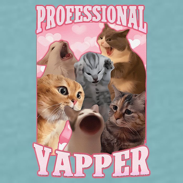 Funny Cat Meme Professional Yapper Cat Oddly Specific Dank Sueded Cloud Jersey T-Shirt