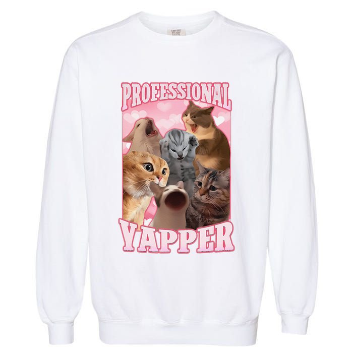 Funny Cat Meme Professional Yapper Cat Oddly Specific Dank Garment-Dyed Sweatshirt