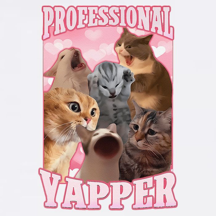 Funny Cat Meme Professional Yapper Cat Oddly Specific Dank Garment-Dyed Sweatshirt