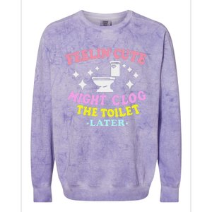 Feelin Cute Might Clog The Toilet Later Colorblast Crewneck Sweatshirt