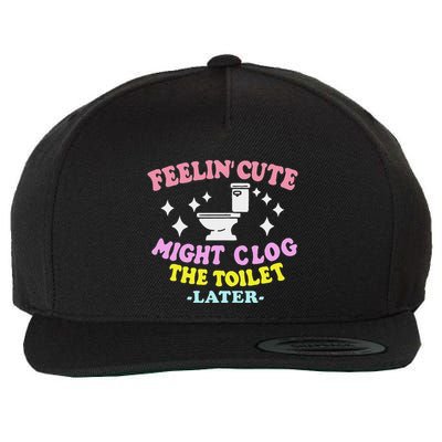 Feelin Cute Might Clog The Toilet Later Wool Snapback Cap