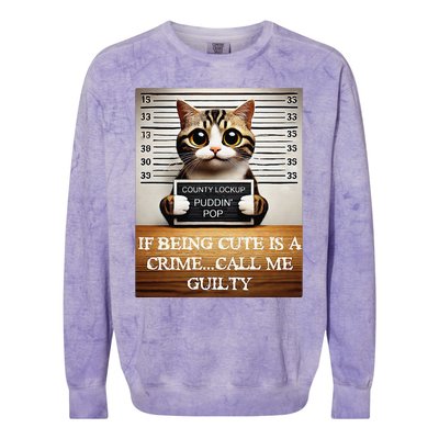 Funny Cat Meme Guilty Of Being Cute Colorblast Crewneck Sweatshirt