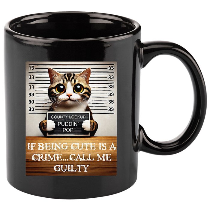 Funny Cat Meme Guilty Of Being Cute 11oz C Handle Ceramic Mug