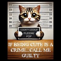 Funny Cat Meme Guilty Of Being Cute 16 in Basic Backpack