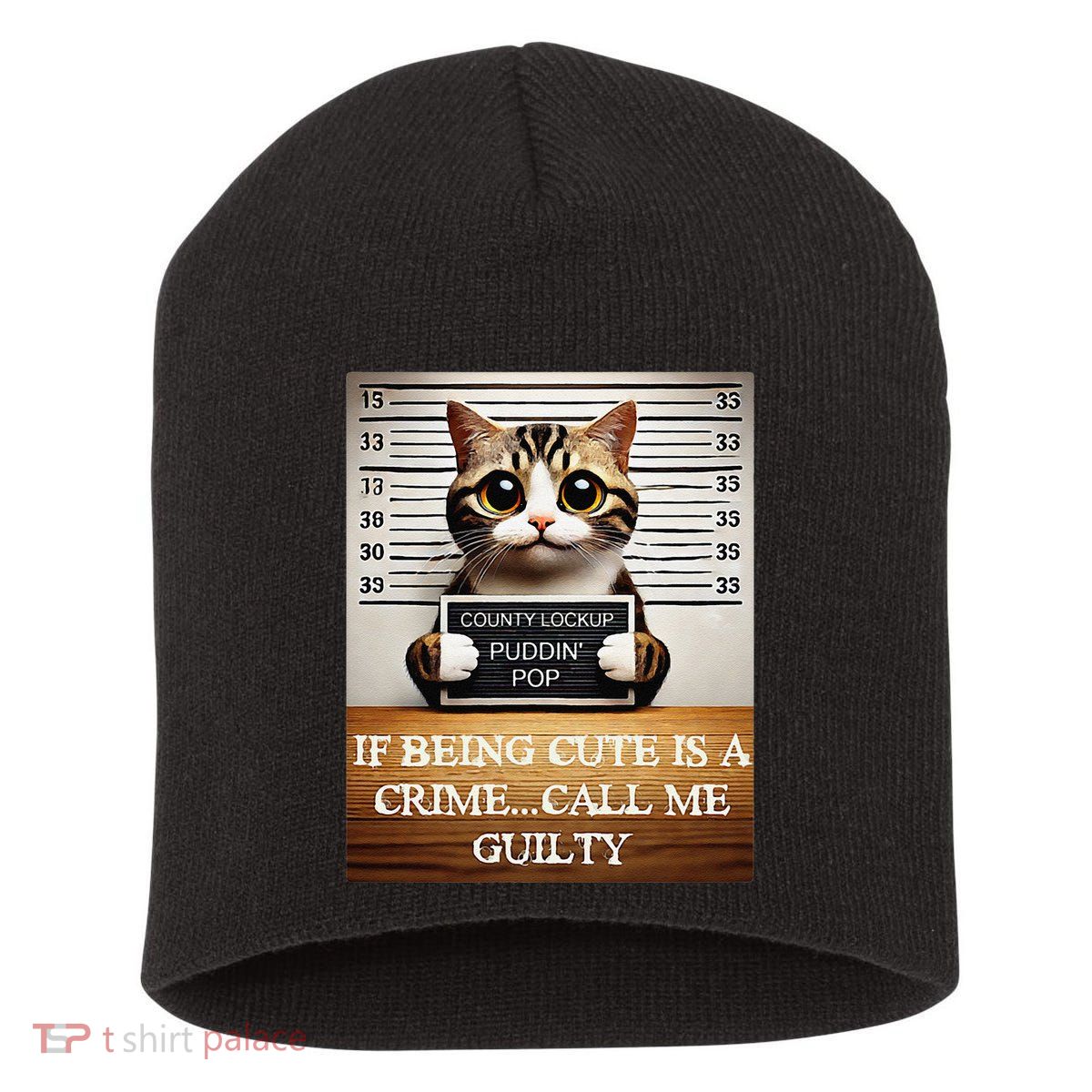 Funny Cat Meme Guilty Of Being Cute Short Acrylic Beanie