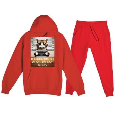 Funny Cat Meme Guilty Of Being Cute Premium Hooded Sweatsuit Set