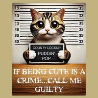 Funny Cat Meme Guilty Of Being Cute Magnet
