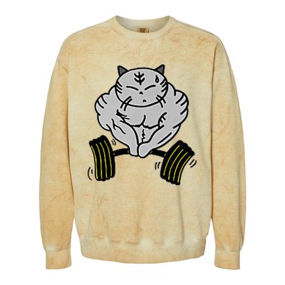 Funny Cat Muscle Colorblast Crewneck Sweatshirt