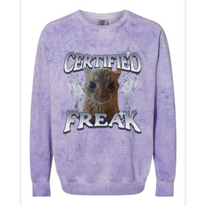 Funny Cat Meme Certified Freak Eat Cement Cursed Cat Colorblast Crewneck Sweatshirt