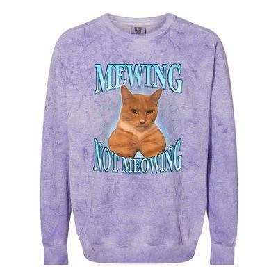 Funny Cat Meme Meowing Looks Max Meowing Colorblast Crewneck Sweatshirt