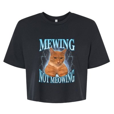 Funny Cat Meme Meowing Looks Max Meowing Bella+Canvas Jersey Crop Tee