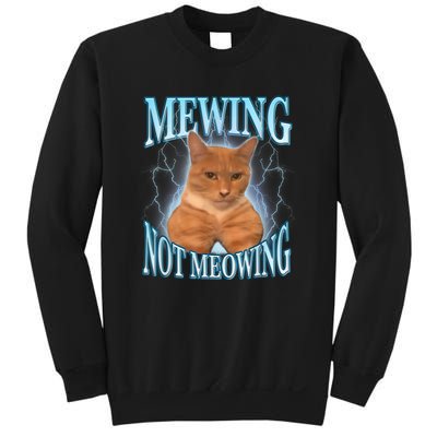 Funny Cat Meme Meowing Looks Max Meowing Sweatshirt