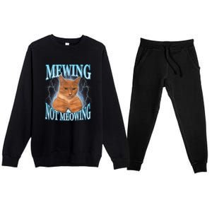 Funny Cat Meme Meowing Looks Max Meowing Premium Crewneck Sweatsuit Set