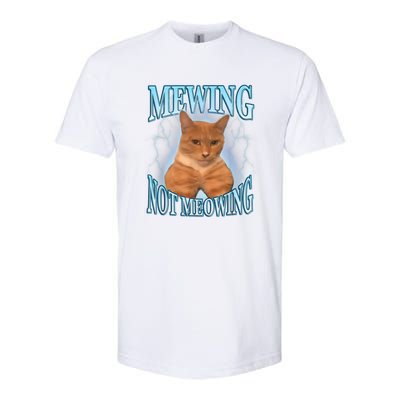 Funny Cat Meme Meowing Looks Max Meowing Softstyle® CVC T-Shirt