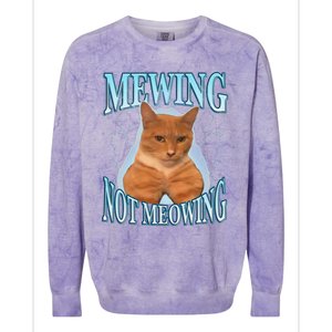 Funny Cat Meme Mewing Looksmax Meowing Cat Trend Colorblast Crewneck Sweatshirt