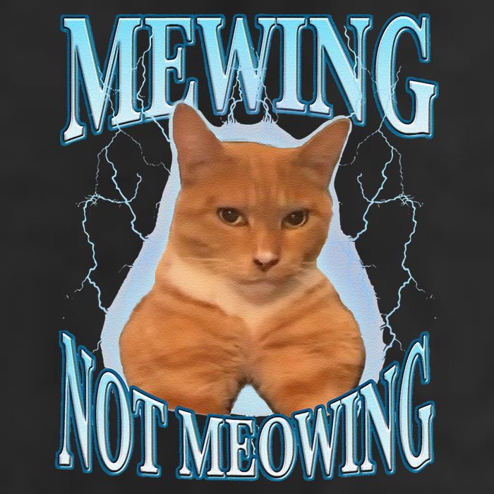 Funny Cat Meme Mewing Looksmax Meowing Cat Trend 25L Jumbo Tote