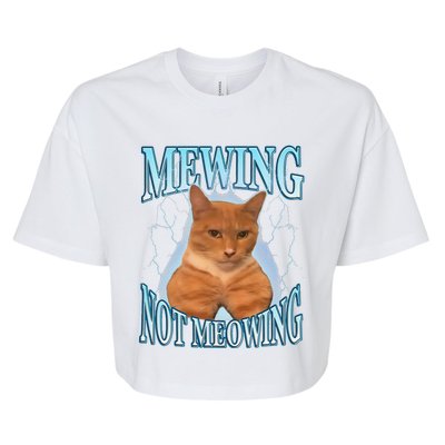 Funny Cat Meme Mewing Looksmax Meowing Cat Trend Bella+Canvas Jersey Crop Tee