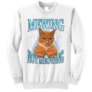 Funny Cat Meme Mewing Looksmax Meowing Cat Trend Sweatshirt