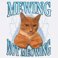 Funny Cat Meme Mewing Looksmax Meowing Cat Trend Mug