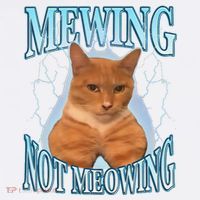 Funny Cat Meme Mewing Looksmax Meowing Cat Trend 11oz C Handle Ceramic Mug