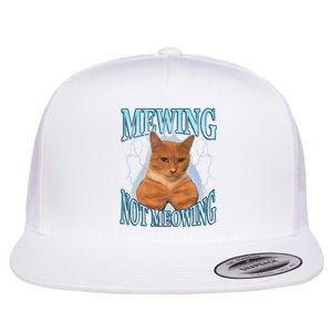 Funny Cat Meme Mewing Looksmax Meowing Cat Trend Flat Bill Trucker Hat