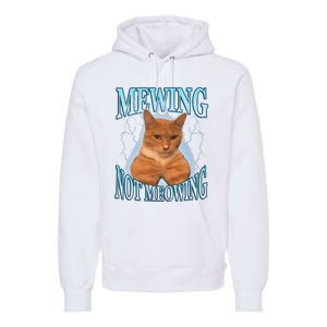 Funny Cat Meme Mewing Looksmax Meowing Cat Trend Premium Hoodie