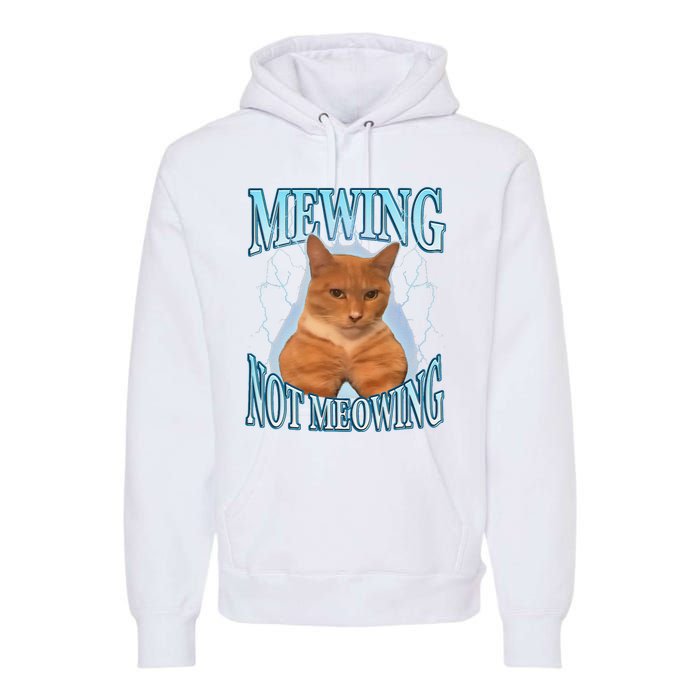 Funny Cat Meme Mewing Looksmax Meowing Cat Trend Premium Hoodie