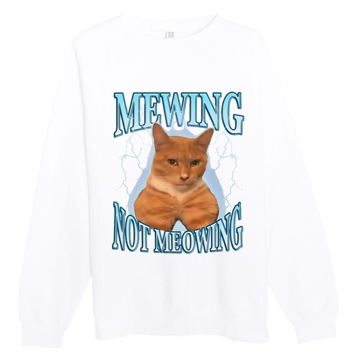 Funny Cat Meme Mewing Looksmax Meowing Cat Trend Premium Crewneck Sweatshirt