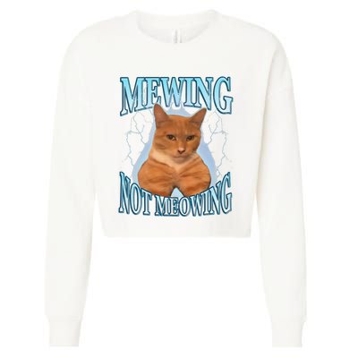 Funny Cat Meme Mewing Looksmax Meowing Cat Trend Cropped Pullover Crew