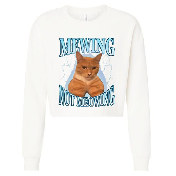 Funny Cat Meme Mewing Looksmax Meowing Cat Trend Cropped Pullover Crew