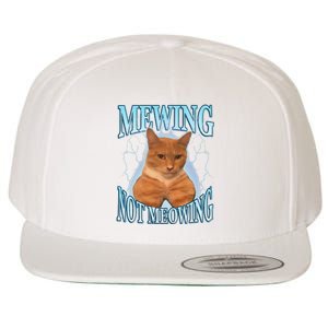 Funny Cat Meme Mewing Looksmax Meowing Cat Trend Wool Snapback Cap