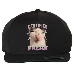 Funny Cat Meme Certified Freak Eat Cement Cursed Cat Wool Snapback Cap