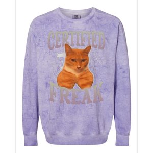 Funny Cat Meme Certified Freak Eat Cement Cursed Cat Colorblast Crewneck Sweatshirt