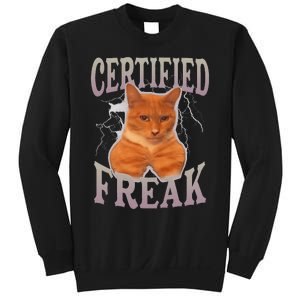 Funny Cat Meme Certified Freak Eat Cement Cursed Cat Sweatshirt