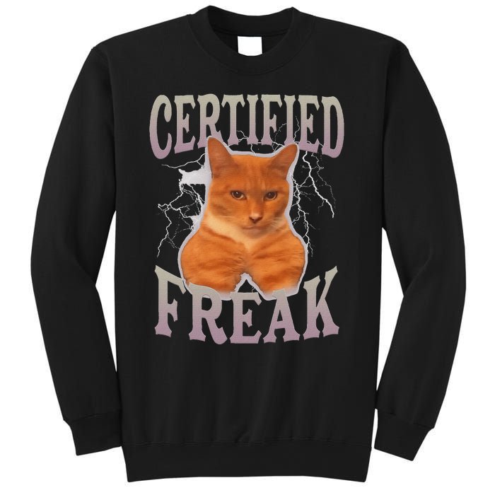 Funny Cat Meme Certified Freak Eat Cement Cursed Cat Sweatshirt