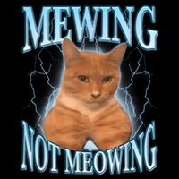 Funny Cat Meme Mewing Looksmax Meowing Cat Trend Hoodie