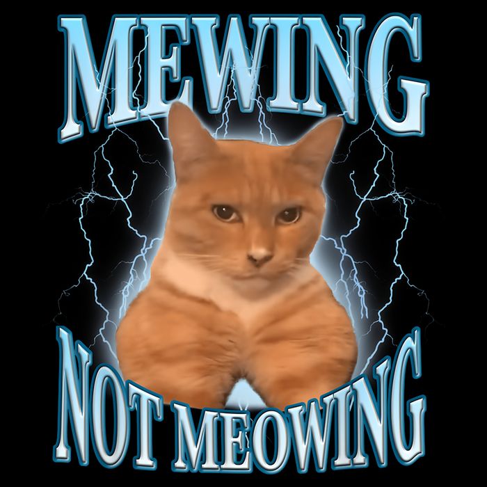 Funny Cat Meme Mewing Looksmax Meowing Cat Trend Hoodie
