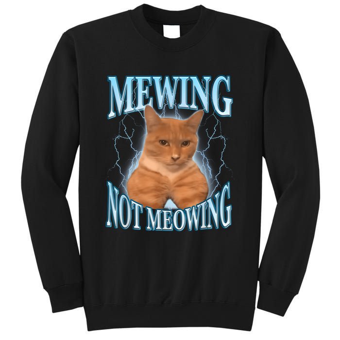 Funny Cat Meme Mewing Looksmax Meowing Cat Trend Sweatshirt